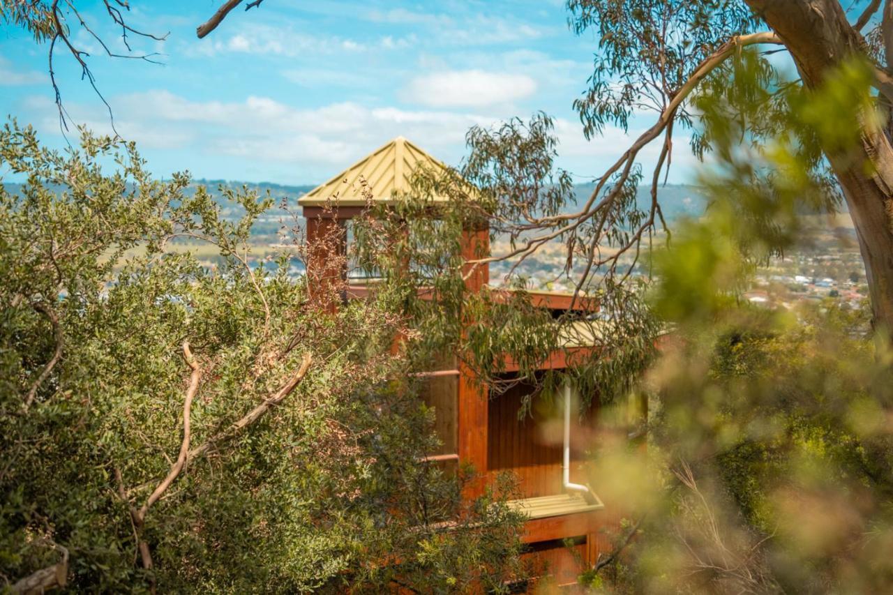 Вилла Kinoie Mornington - Oceanview Маунт-Марта Экстерьер фото
